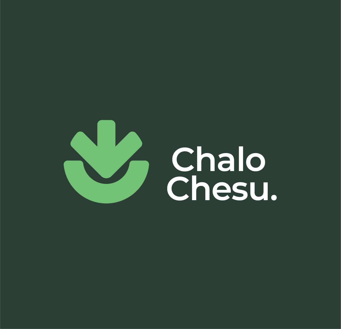 Chalo Chesu Environmental Consulting Limited Logo