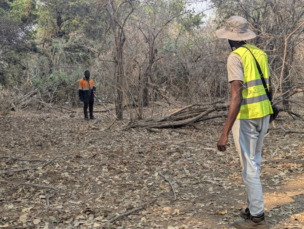 Environmental Services